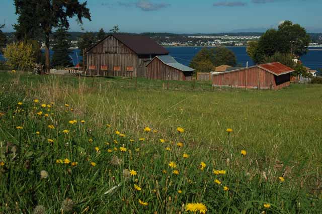 farming along Scenic Hill Rd
